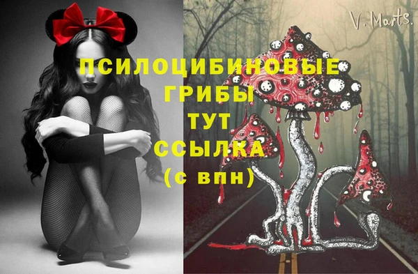 Альфа ПВП Нея