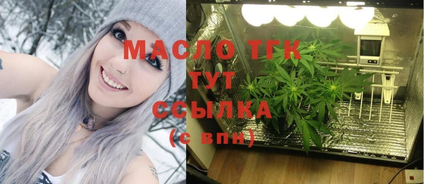 индика Навашино