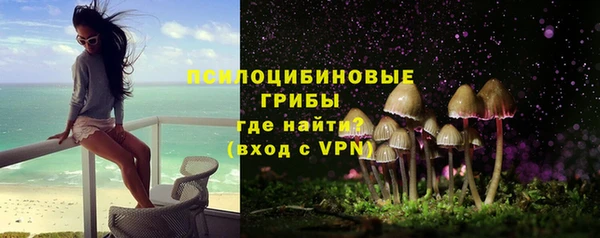 Альфа ПВП Нея