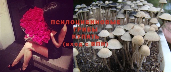 Альфа ПВП Нея