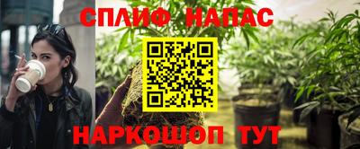 сатива Кимры