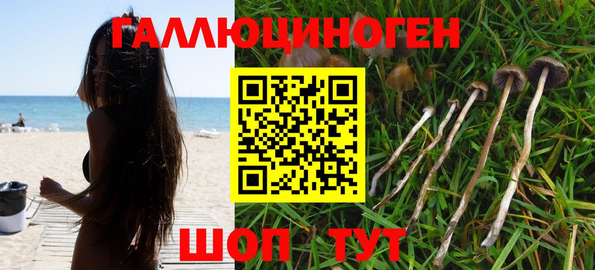 Псилоцибиновые грибы Magic Shrooms  Вход с VPN  Лысьва 